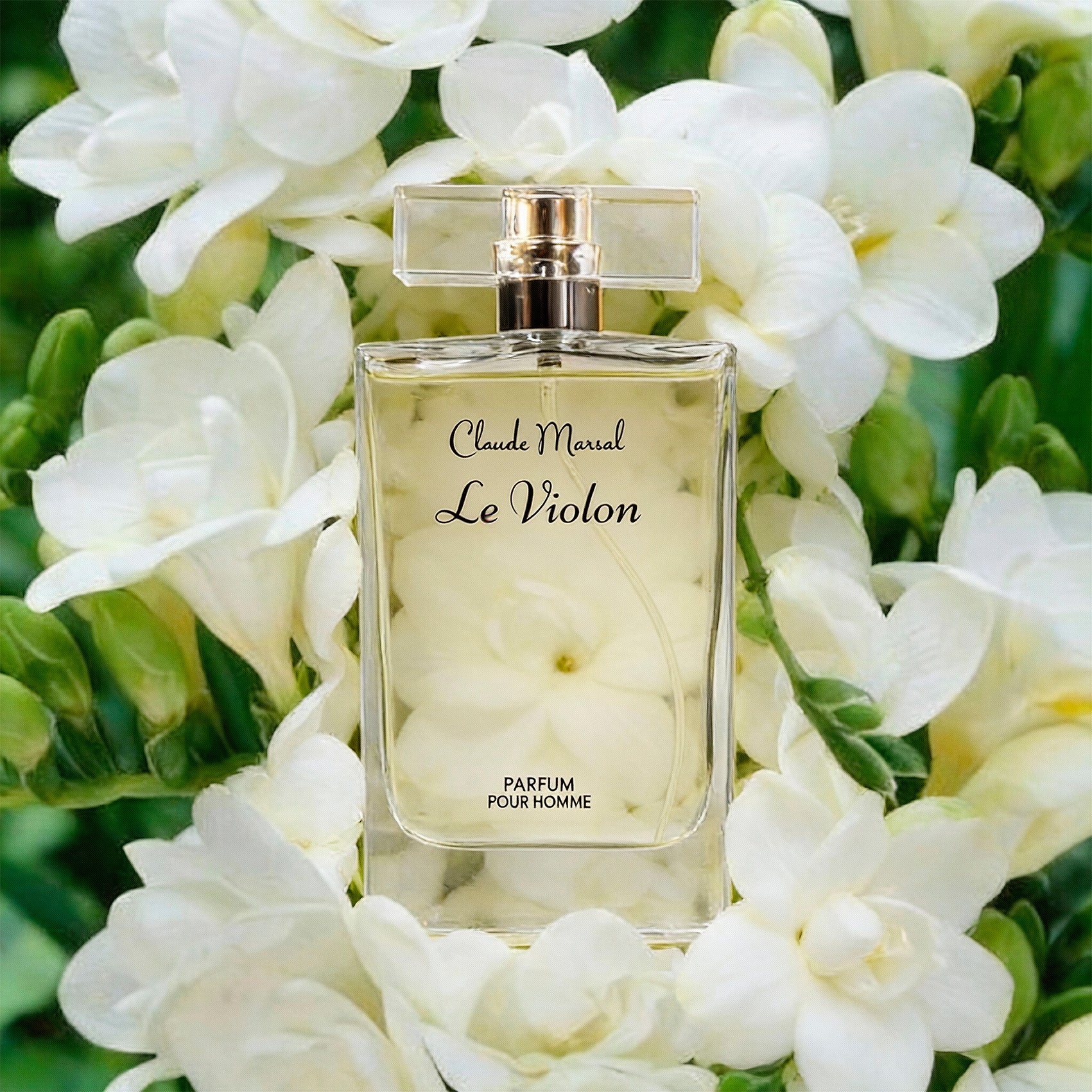 Le Violon Parfum for Men by Claude Marsal CLAUDE MARSAL