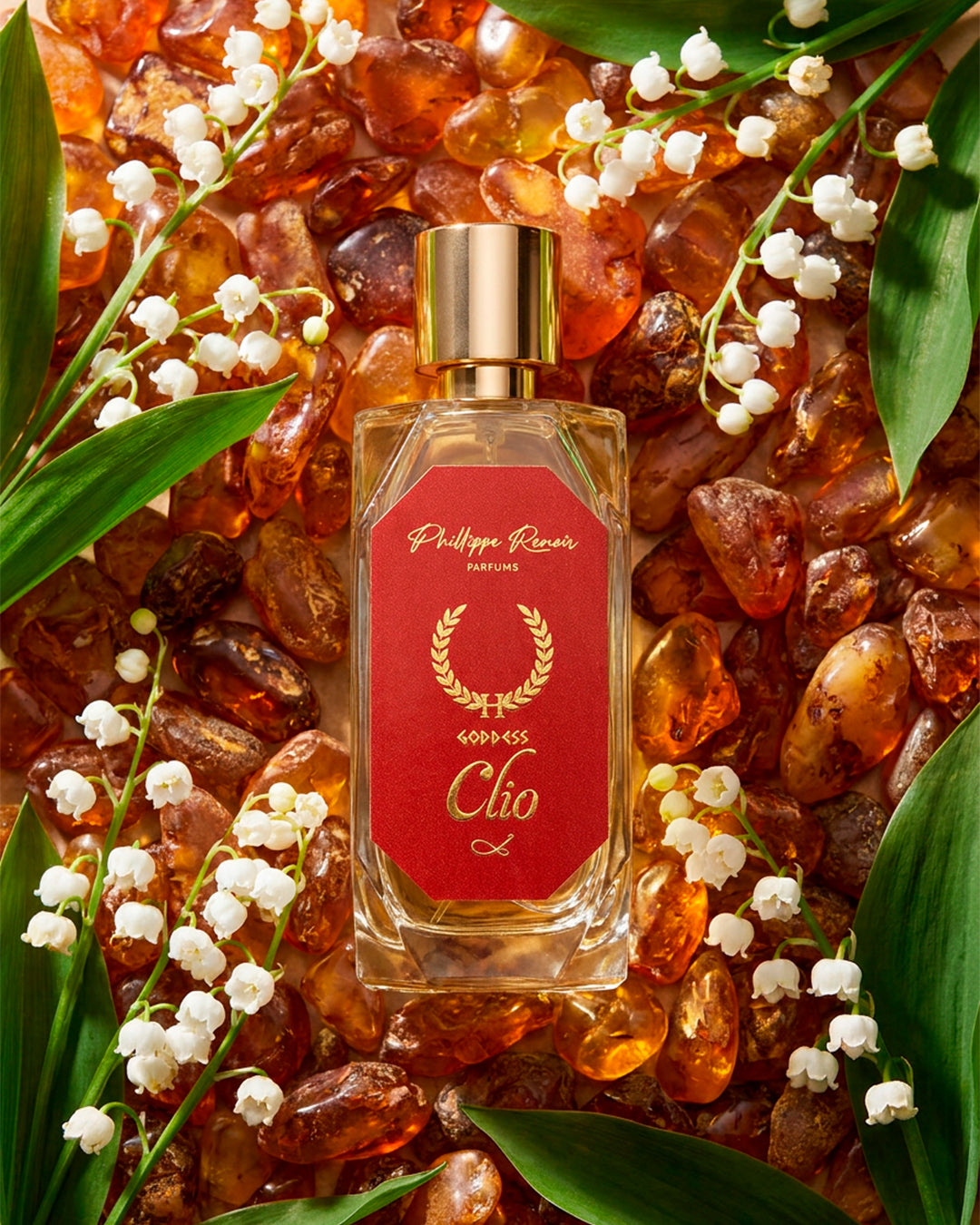 Goddess Clio Eau de Parfum for Women by Phillippe Renoir PHILLIPPE RENOIR