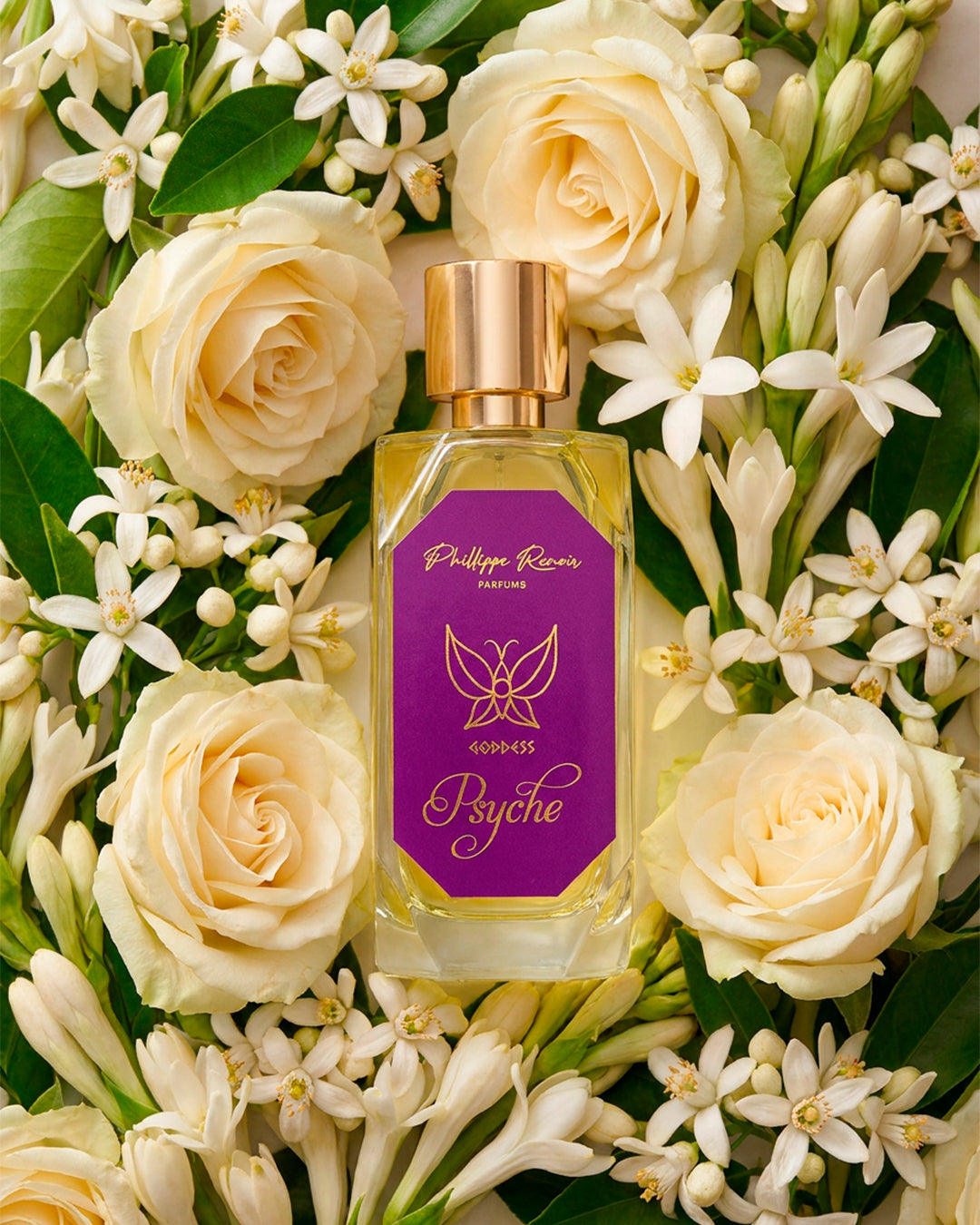 Goddess Psyche Eau de Parfum for Women by Phillippe Renoir PHILLIPPE RENOIR