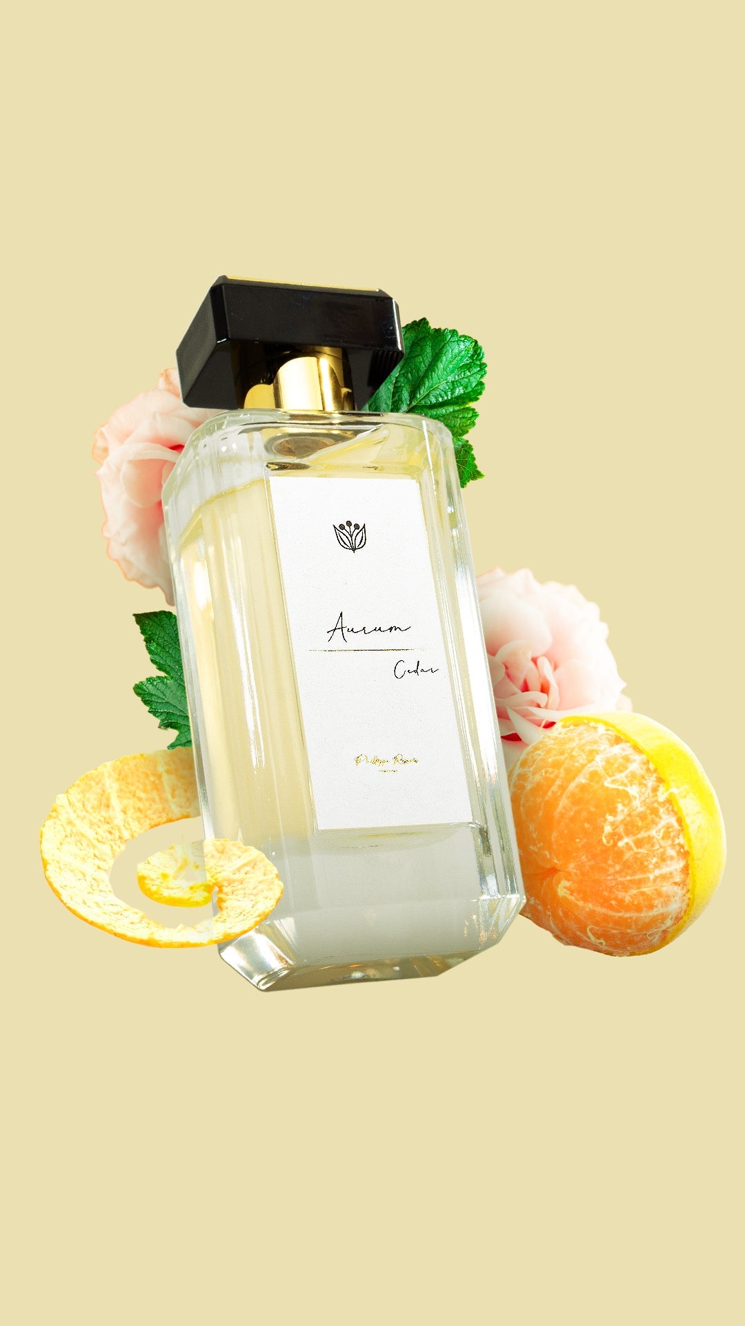 Aurum Cedar Eau de Parfum for women by Phillippe Renoir PHILLIPPE RENOIR