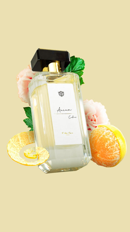 Aurum Cedar Eau de Parfum for women by Phillippe Renoir PHILLIPPE RENOIR